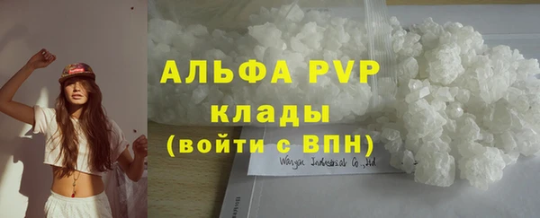 spice Дмитриев